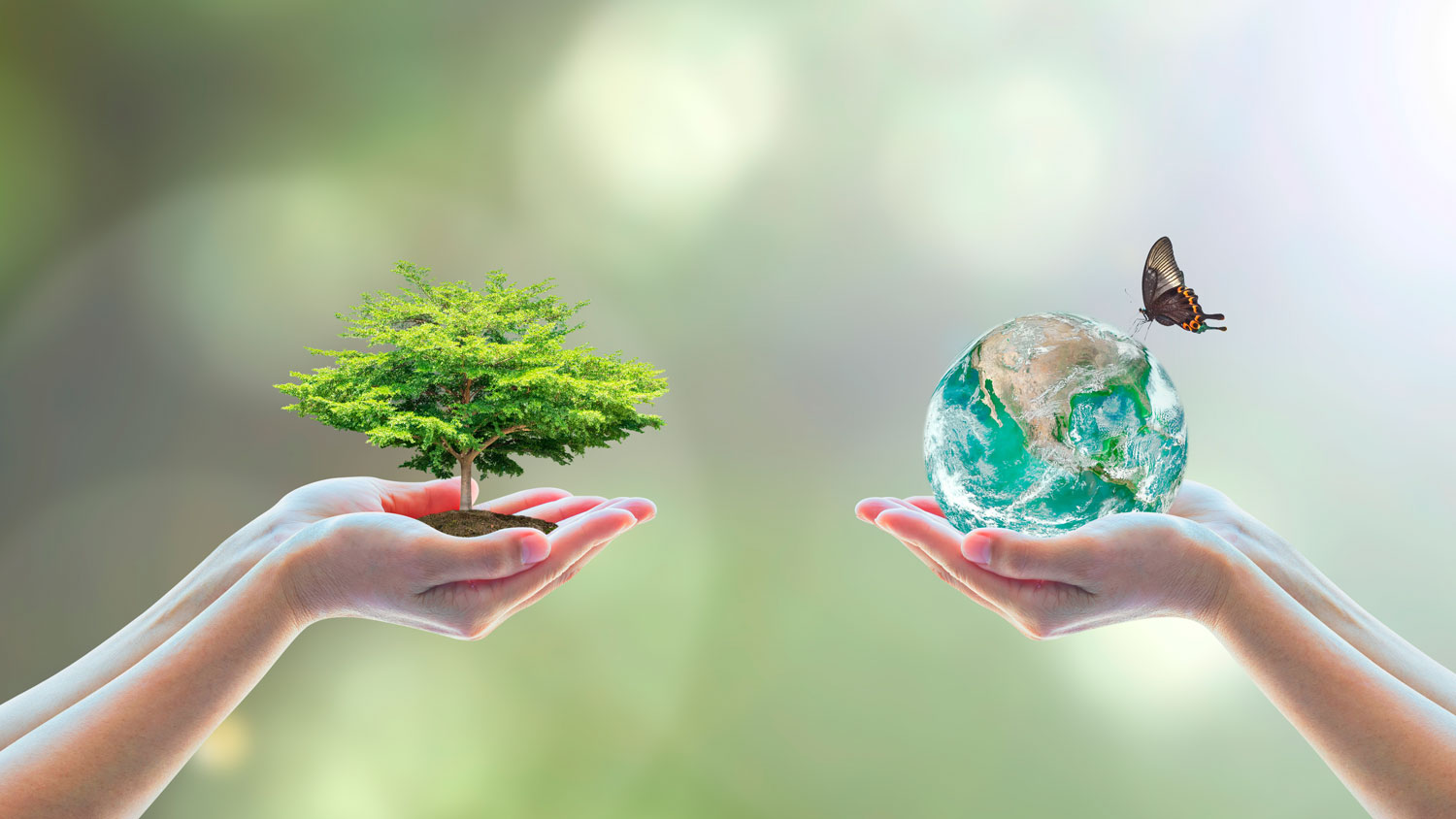 ambiental